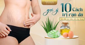 BANNER BLOG RAN DA 12