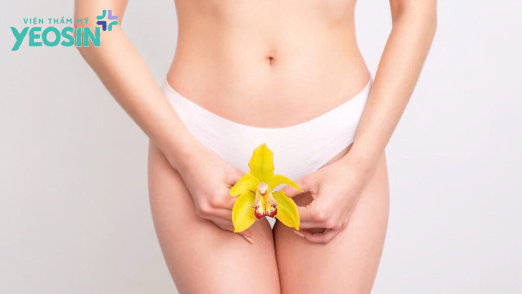 Triệt lông bikini tạo hình là gì? Xem những mẫu tạo hình đẹp nhất 6 Triệt lông bikini tạo hình là gì?
