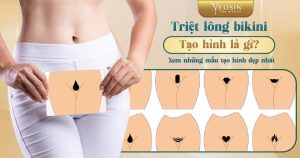 BANNER BLOG TRIET LONG TT 01 1