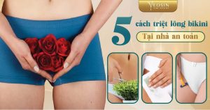 BANNER BLOG TRIET LONG TT 03