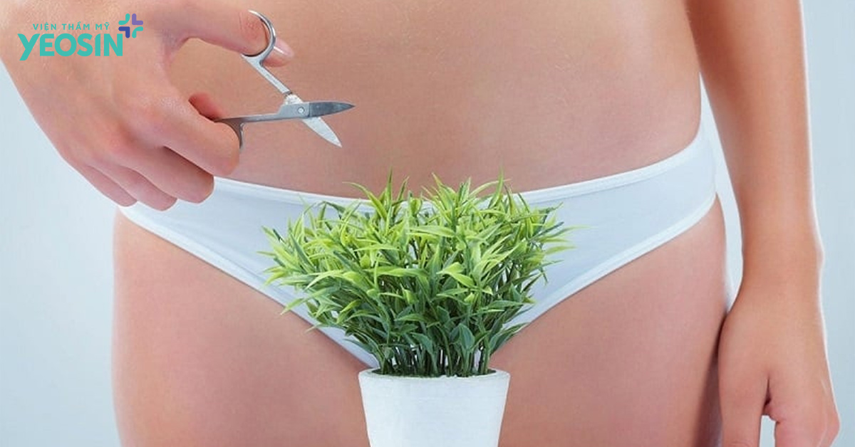 Những lưu ý sau khi triệt lông bikini bạn có thể cần