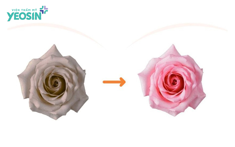 Bảng giá làm hồng nhũ hoa mới nhất hiện nay 8 Cách để tối ưu mức chi phí làm hồng nhũ hoa bạn cần biết.