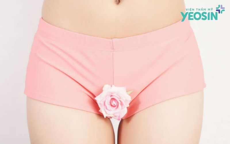 Triệt Lông Bikini Là Gì? Những Điều Bạn Cần Biết 9 Triệt lông bikini là gì?