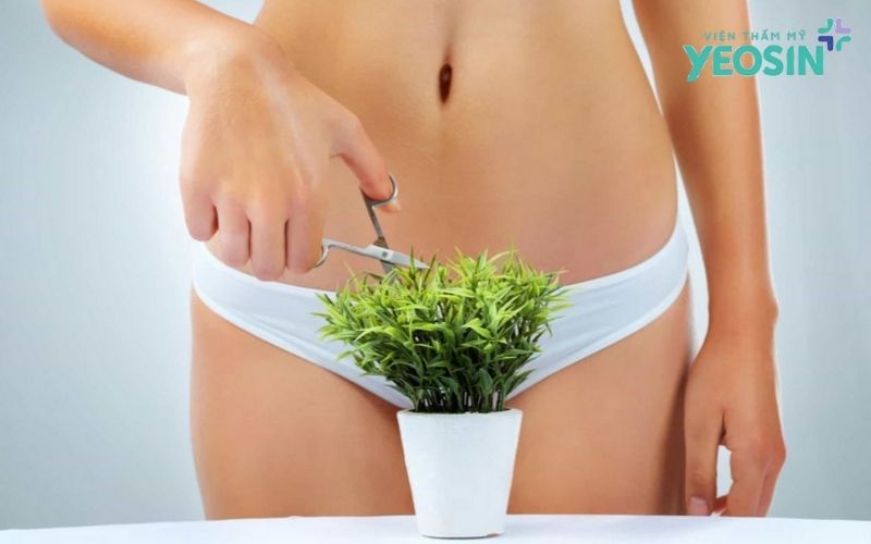 Triệt Lông Bikini Là Gì? Những Điều Bạn Cần Biết 10 Có nên triệt lông bikini không?