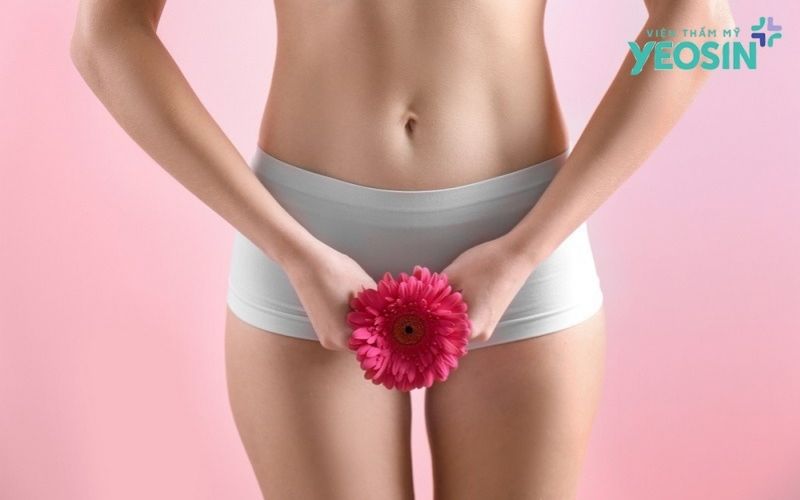 Thu nhỏ cô bé là gì? Những điều cần biết