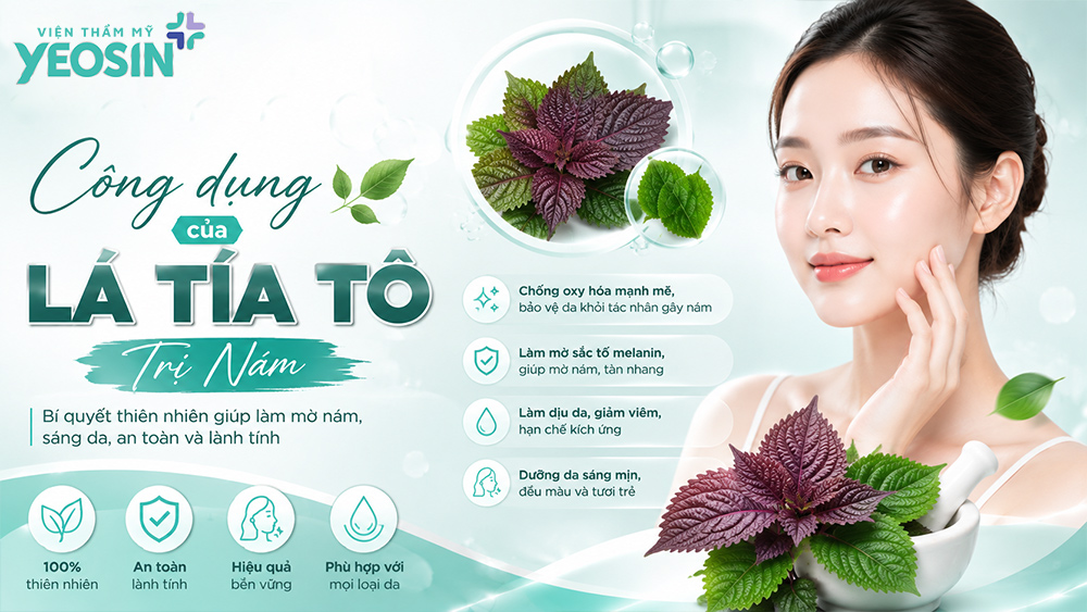 Công dụng của lá tía tô trị nám như thế nào?