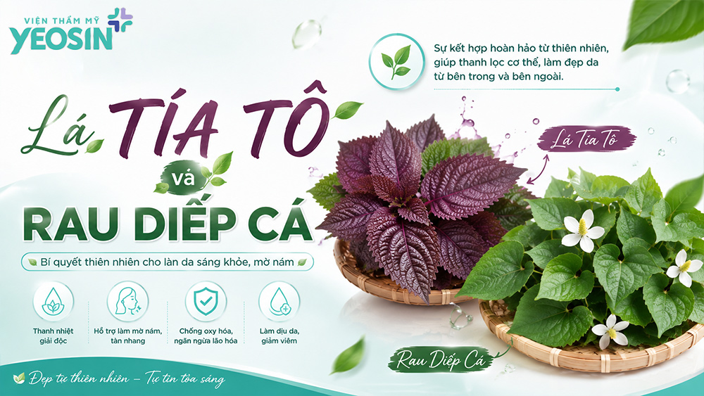 Cách chữa nám bằng lá tía tô và rau diếp cá