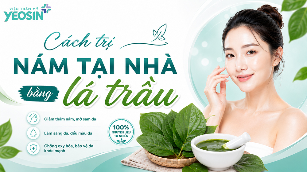 Top 10 cách trị nám tại nhà an toàn và hiệu quả 14 Cách trị nám tại nhà hiệu quả bằng lá trầu không